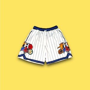 Who Cares Supply Co NBA Remix Heavy Mesh Hoop Shorts Size Large Pinstripe